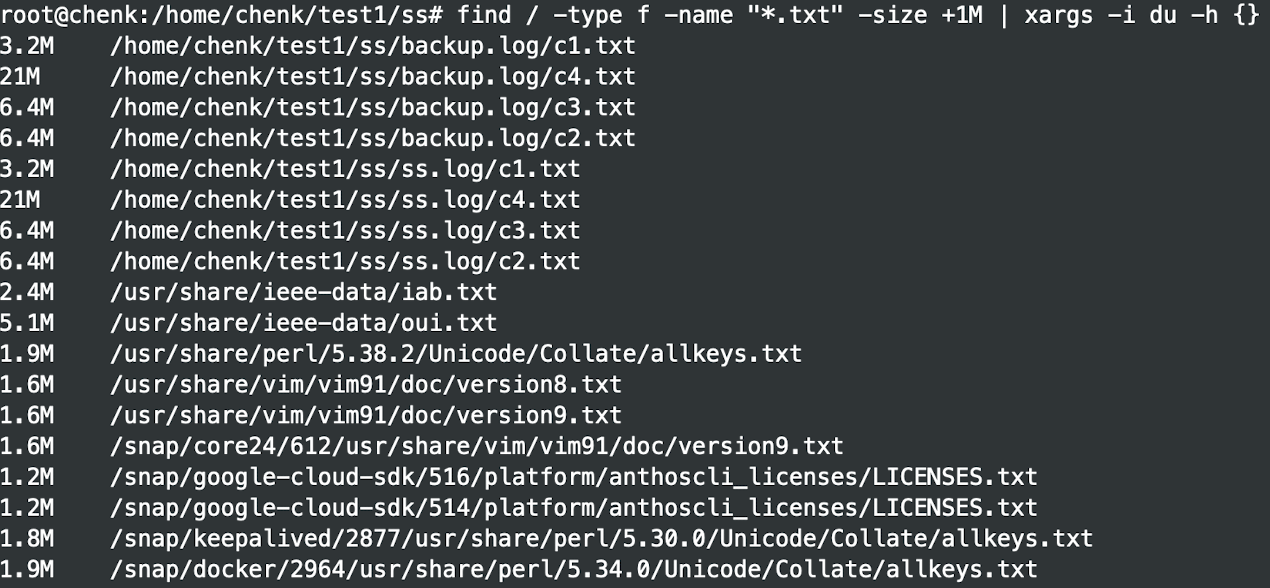 image-20250117113108624
